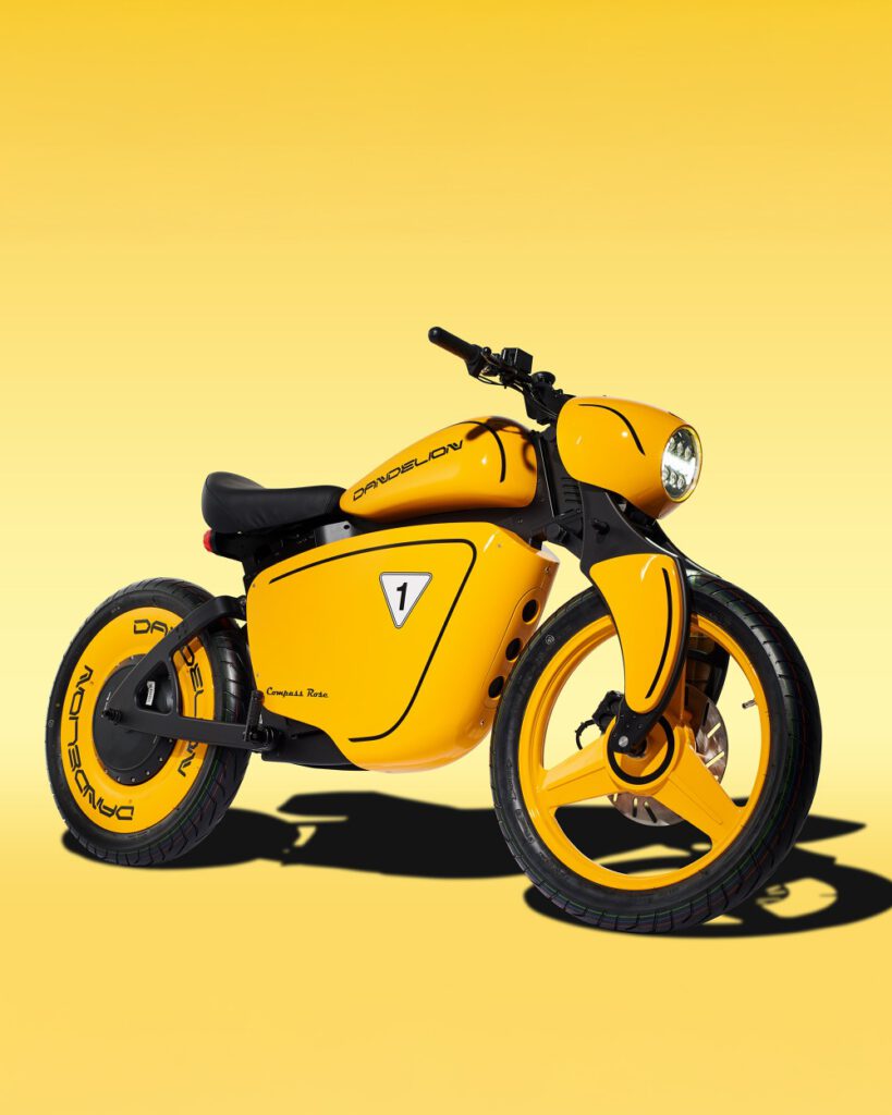 Compass Rose Dandelion yellow