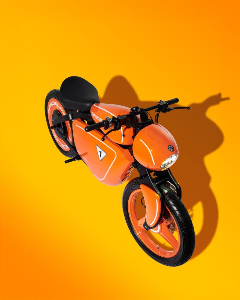 Compass Rose Dandelion orange