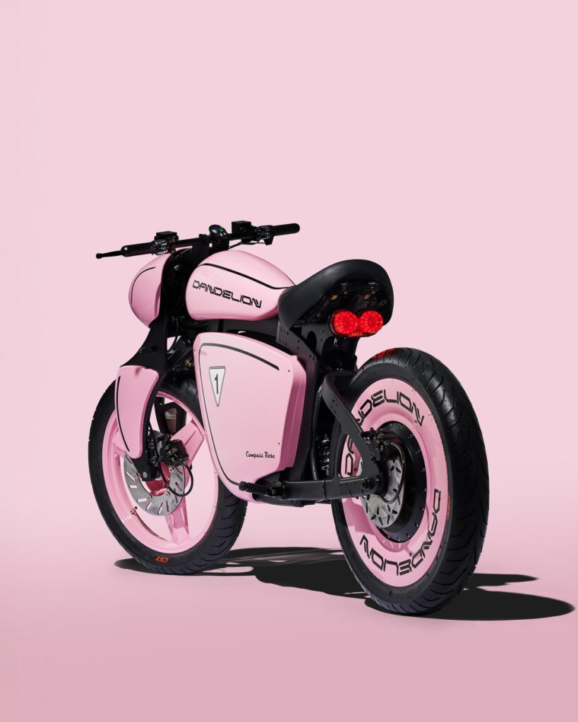 Compass Rose Dandelion pink