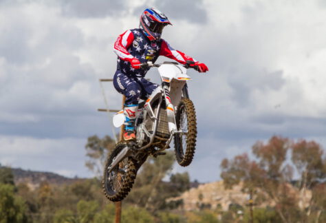 Alta Redshift MXR