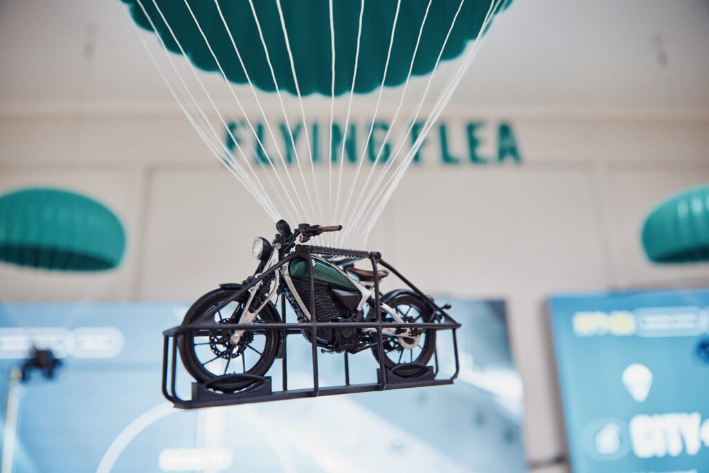 Flying Flea C6